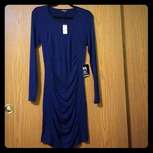 Express long sleeve dress